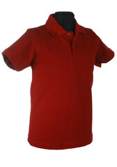 Polo krekls ar īsām piedurknēm, sarkans цена и информация | Рубашки для мальчиков | 220.lv