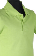 Polo krekls ar īsām piedurknēm, gaiši zaļš цена и информация | Рубашки для мальчиков | 220.lv