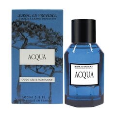 Tualetes ūdens Jeanne Arthes Acqua EDT vīriešiem, 100 ml cena un informācija | Vīriešu smaržas | 220.lv