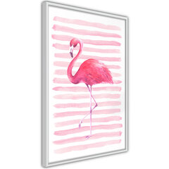 Plakāts - Pink Madness cena un informācija | Gleznas | 220.lv