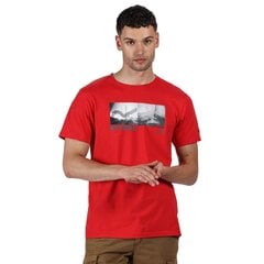 Vīriešu T-krekls Cline IV Graphic T-Shirt cena un informācija | Vīriešu T-krekli | 220.lv