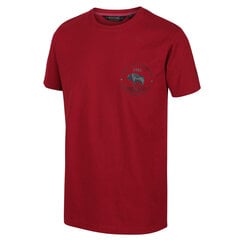 Vīriešu T-krekls Cline IV Graphic T-Shirt cena un informācija | Vīriešu T-krekli | 220.lv