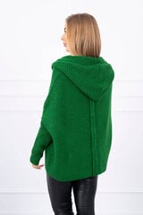 Džemperis cena un informācija | Sieviešu džemperi | 220.lv