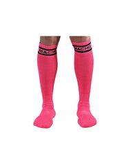 MACHO MALE LONG SOCKS ONE SIZE - PINK cena un informācija | Zēnu zeķubikses, zeķes | 220.lv