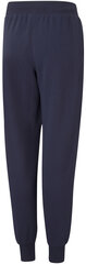 Спортивные штаны Puma Alpha Sweatpants 847290 06/176, синие цена и информация | Штаны для мальчиков | 220.lv