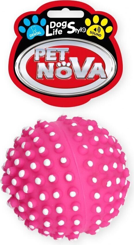 Pet Nova rotaļlieta-čīkstoša adataina bumba, 6.5cm цена и информация | Suņu rotaļlietas | 220.lv