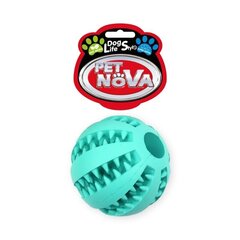 Pet Nova Superdental piparmētras krāsas bumbiņa suņiem, 7cm цена и информация | Игрушки для собак | 220.lv