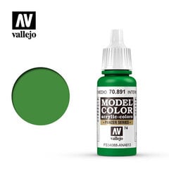 Akrila krāsa Intermediate Green Matt 17 ml. Model Color Vallejo 70891 cena un informācija | Modelēšanas un zīmēšanas piederumi | 220.lv