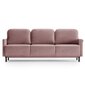 Dīvāns Homede Lapi, rozā cena un informācija | Dīvāni | 220.lv