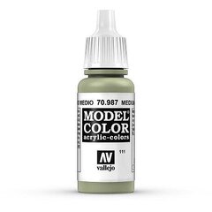 Krāsa Medium Grey Matt 17 ml. Model 70987 Vallejo cena un informācija | Modelēšanas un zīmēšanas piederumi | 220.lv