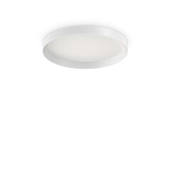 Griestu lampa Fly Pl D35 4000K cena un informācija | Griestu lampas | 220.lv