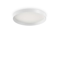 Griestu lampa Fly Pl D45 4000K цена и информация | Потолочные светильники | 220.lv