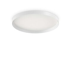 Griestu lampa Fly Pl D60 3000K cena un informācija | Griestu lampas | 220.lv