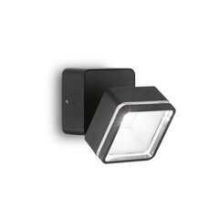 Настенный светильник OMEGA_AP_SQUARE_NERO_4000K цена и информация | Уличное освещение | 220.lv