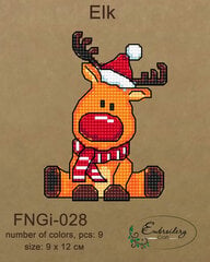 Izšūšanas komplekts Embroidery Craft FBNGI-028 cena un informācija | Izšūšanas piederumi | 220.lv