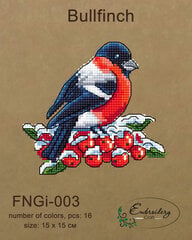 Izšūšanas komplekts Embroidery Craft FNNGI-003 cena un informācija | Izšūšanas piederumi | 220.lv