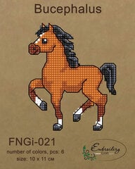 Izšūšanas komplekts Embroidery Craft FNNGI-021 cena un informācija | Izšūšanas piederumi | 220.lv