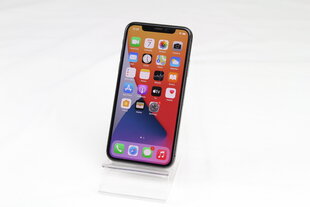 iPhone X 64GB Space Gray (подержанный, состояние A) цена и информация | Мобильные телефоны | 220.lv
