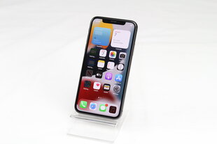 iPhone X 64GB Space Gray (lietots, stāvoklis A) cena un informācija | Mobilie telefoni | 220.lv