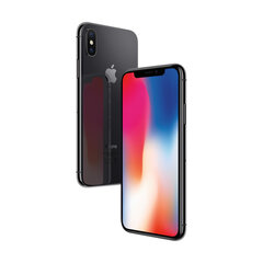 iPhone X 64GB Space Gray (подержанный, состояние A) цена и информация | Мобильные телефоны | 220.lv