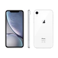 iPhone XR 64GB White (lietots, stāvoklis A) cena un informācija | Mobilie telefoni | 220.lv