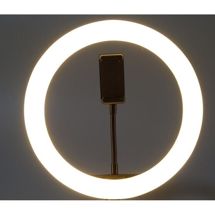 Apaļa LED lampa, 30 cm cena un informācija | Apgaismojums fotografēšanai | 220.lv