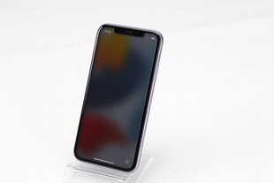 iPhone 11 64GB Purple (подержанный, состояние A) цена и информация | Мобильные телефоны | 220.lv