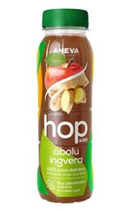 Ābolu ingvera sulas dzēriens, 250 ml, Aneva cena un informācija | Sulas, nektāri un sulu dzērieni | 220.lv