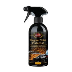 Automašīnas vasks Autosol 500 ml Spray cena un informācija | Auto ķīmija | 220.lv