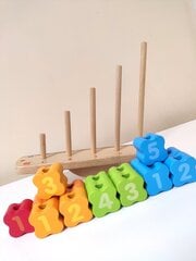 Развивающая деревянная балансировочная игра цена и информация | Развивающие игрушки | 220.lv