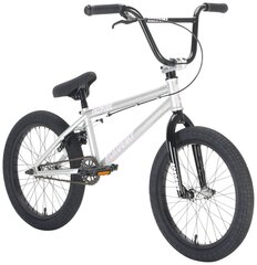 Academy Inspire 18 "2021 BMX Freestyle velosipēds, sudraba/melns цена и информация | Велосипеды | 220.lv