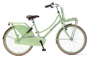 Bērnu velosipēds Popal Daily Dutch Basic, 24", zaļš cena un informācija | Velosipēdi | 220.lv