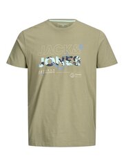 Детская футболка JACK & JONES 12206162*01 5715217249559 цена и информация | Рубашки для мальчиков | 220.lv