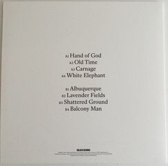 Nick Cave & Warren Ellis - Carnage, LP, vinila plate, 12" vinyl record cena un informācija | Vinila plates, CD, DVD | 220.lv