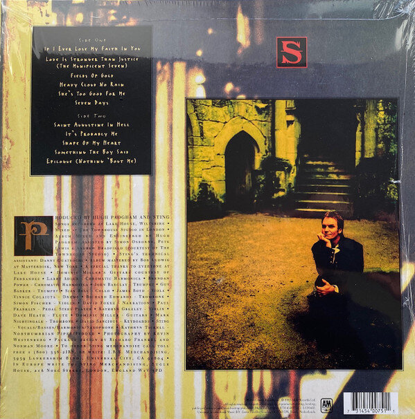 Sting - Ten Summoner's Tales, LP, vinila plate, 12" vinyl record cena un informācija | Vinila plates, CD, DVD | 220.lv