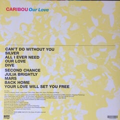 Виниловая пластинка Caribou - Our Love, LP, 12" vinyl record цена и информация | Виниловые пластинки, CD, DVD | 220.lv