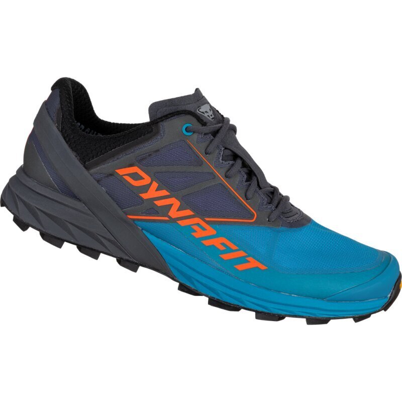 Vīriešu sporta apavi Dynafit RUNNING SHOE ALPINE MEN 0752, 42.5 cena |  220.lv