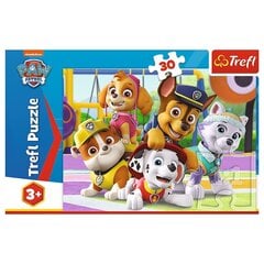 Pužļu komplekts Trefl Ķepu Patruļa (Paw Patrol), 30 d. cena un informācija | Puzles, 3D puzles | 220.lv