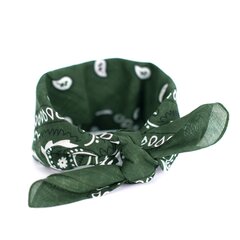 Šalle-bandana MSL13014Z цена и информация | Женские шарфы, платки | 220.lv