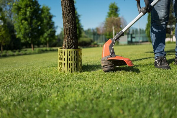 Koku stumbru aizsardzība Bradas TreeSave, 3 gab., zaļa цена и информация | Žogi un piederumi | 220.lv