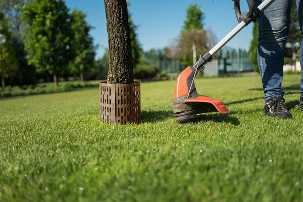 Koku stumbru aizsardzība Bradas TreeSave, 3 gab., brūna cena un informācija | Žogi un piederumi | 220.lv