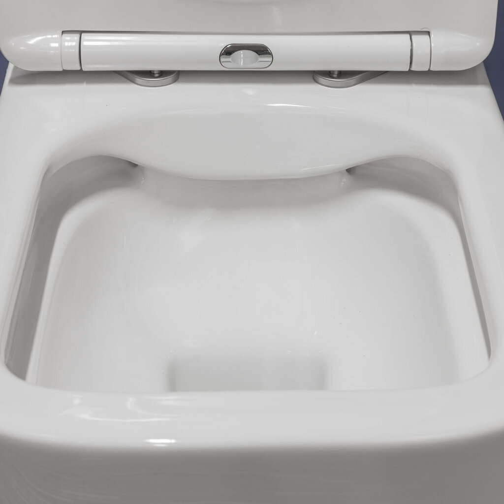 WC komplekts: zemapmetuma rāmis Geberit Duofix Basic, ar piekaramo tualetes podu Tinos un pogu Delta cena un informācija | Tualetes podi | 220.lv
