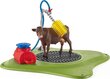 Figūriņu komplekts Govju mazgāšanas zona Schleich Farm World, 42529 цена и информация | Rotaļlietas zēniem | 220.lv