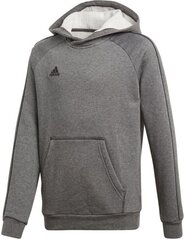 Adidas džemperis zēniem Core18 Y Hoody Junior, CV3429 цена и информация | Свитеры, жилетки, пиджаки для мальчиков | 220.lv