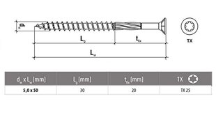 Kokskrūves lauku darbiem, torx, C3, 5,0 x 50/30, 250 gab. + dāvana torx galvai cena un informācija | Stiprinājumi | 220.lv