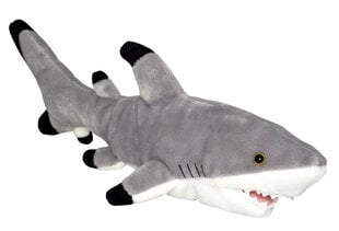 Wild Planet mīkstā rotaļlieta Haizivs 15 cm cena un informācija | Mīkstās (plīša) rotaļlietas | 220.lv