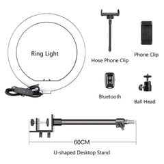 Светодиодная кольцевая лампа с держателем, 26 см цена и информация | Осветительное оборудование для фотосъемок | 220.lv