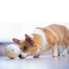 Doggy Village rotaļu interaktīva bumbiņa gardumiem Dog Treat cena un informācija | Suņu rotaļlietas | 220.lv