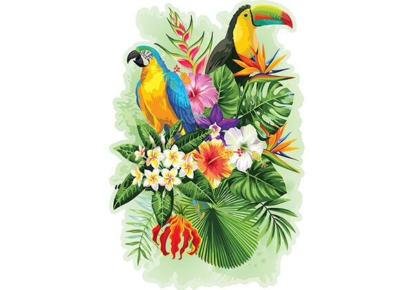 Koka puzle Tropiskie putni, 300 detaļas cena un informācija | Puzles, 3D puzles | 220.lv