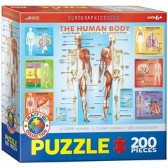 Пазл Eurographics, 6200-1000, The Human Body, 200 шт. цена и информация | Пазлы | 220.lv